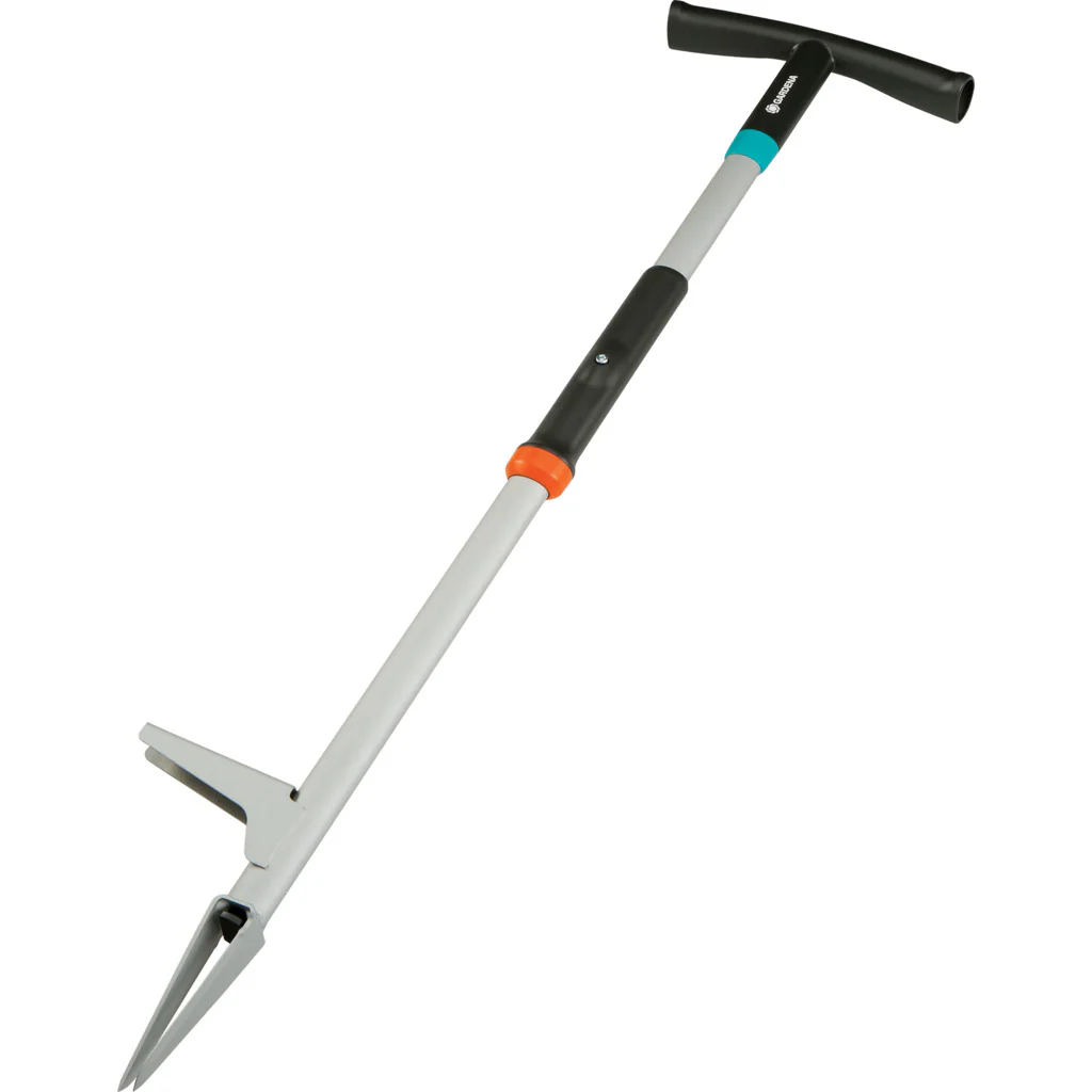 Vorschaubild 1